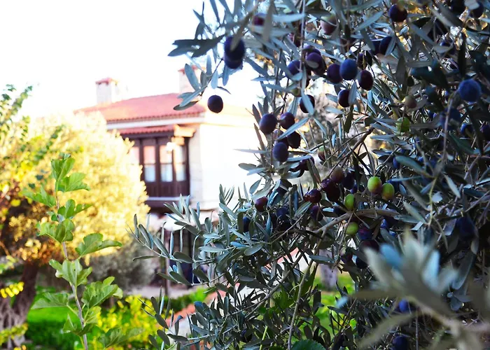 Imren - Special Category Αλακάτι