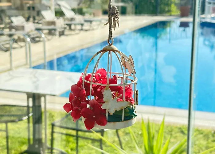 Imren - Special Category 4* Alacati