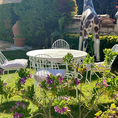 Imren - Special Category מלון