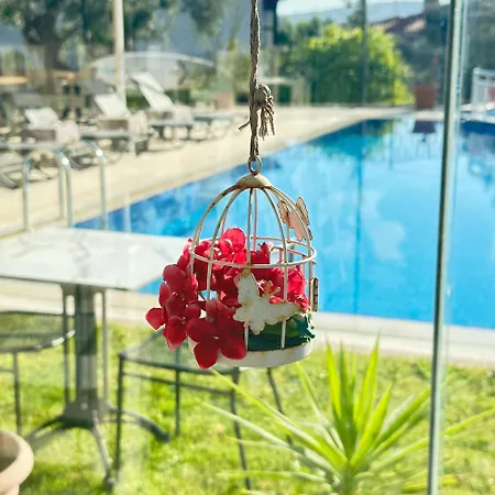 Imren - Special Category 4* Алачати