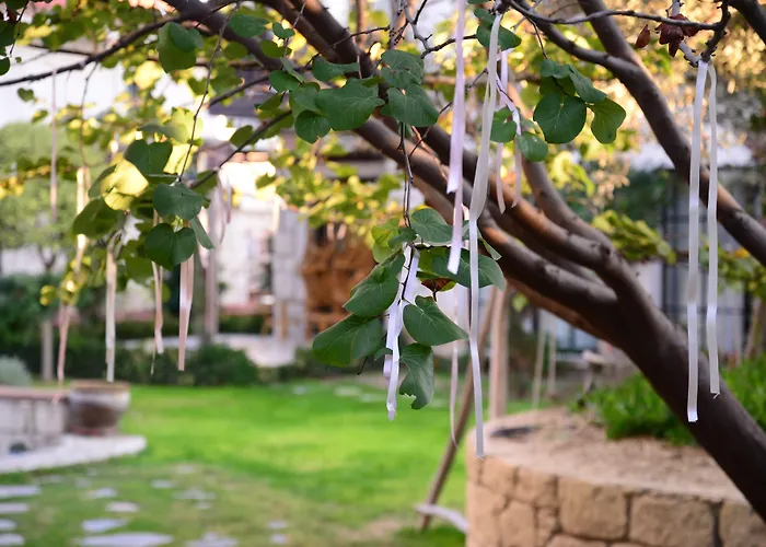 Imren - Special Category