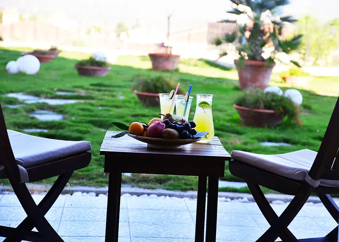 Imren - Special Category